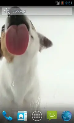 Dog Licks Screen Wallpaper android App screenshot 2