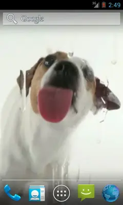 Dog Licks Screen Wallpaper android App screenshot 4